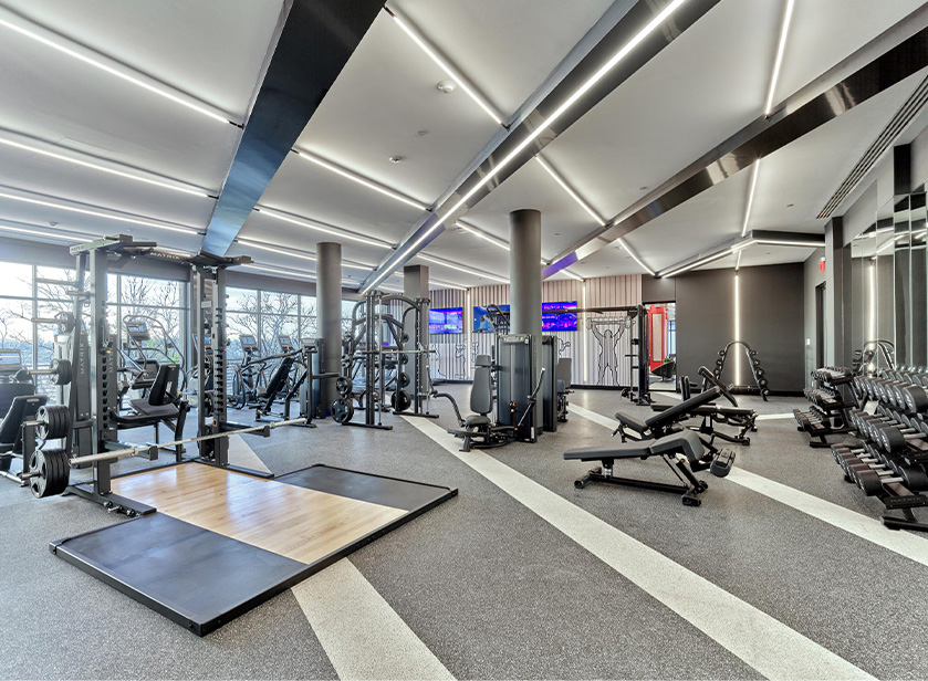 REV by Vermella Gym